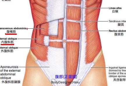 クリックすると新しいウィンドウで開きます